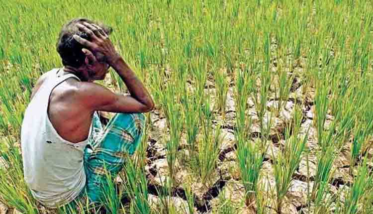 రైతును బలిచేసే రాజకీయం