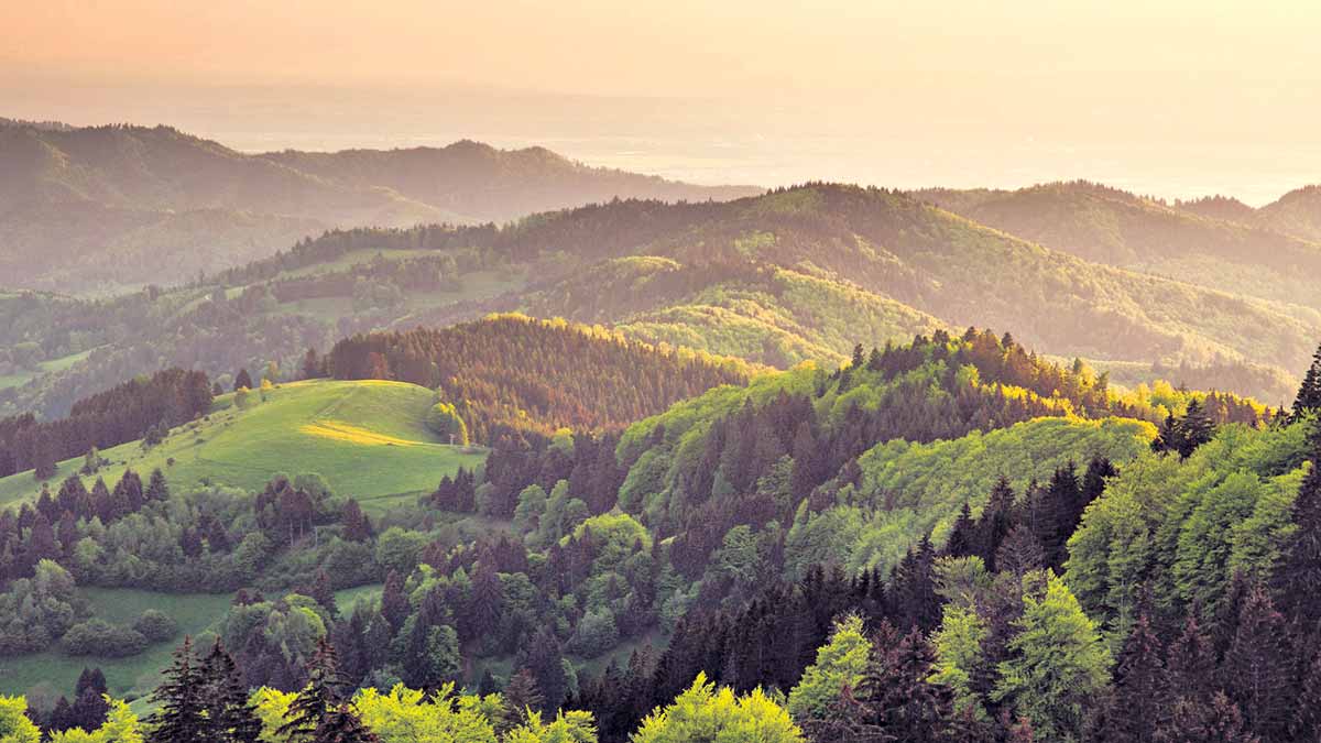 దేశంలో అతిపెద్ద టైగర్‌ రిజర్వ్‌ ప్రాంతం ఏది?