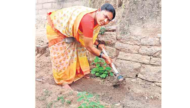 తాడిచెట్టంత దిక్కు !