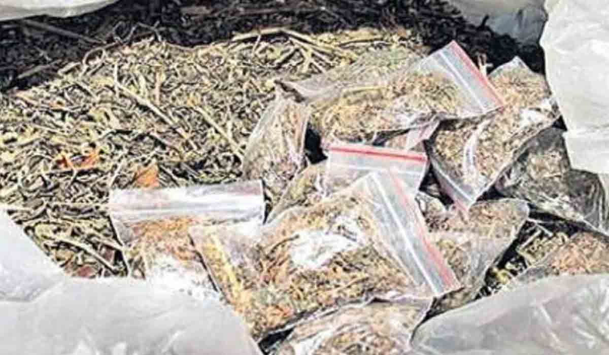 ganja | కౌకుర్‌లో 450 కిలోల గంజాయి పట్టివేత