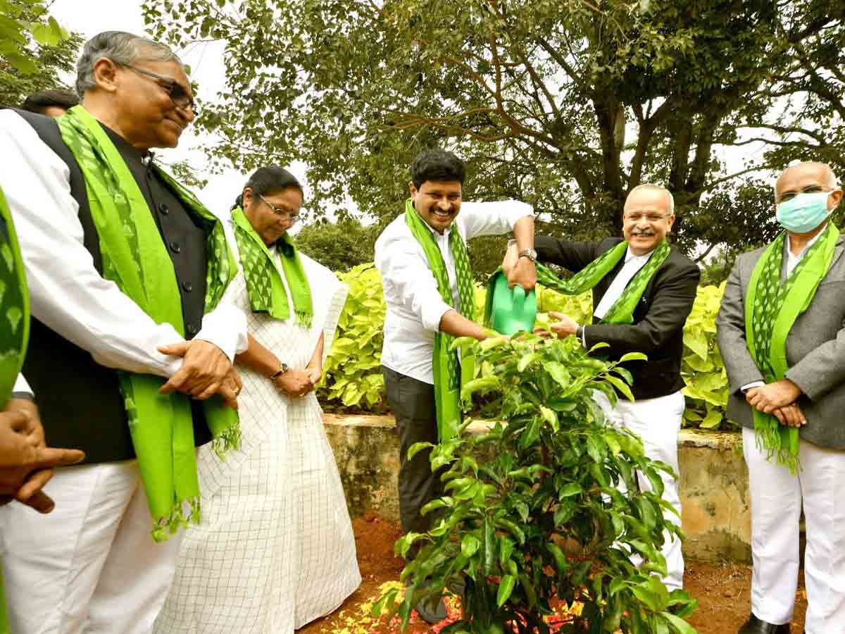 Green india challenge : మొక్కలు నాటిన హైకోర్ట్‌ చీఫ్‌ జస్టిస్‌ సతీష్ చంద్ర శర్మ