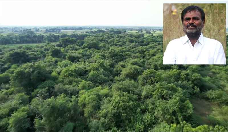 70 ఎకరాలను అడవిగా మార్చిన దుశ్చర్ల