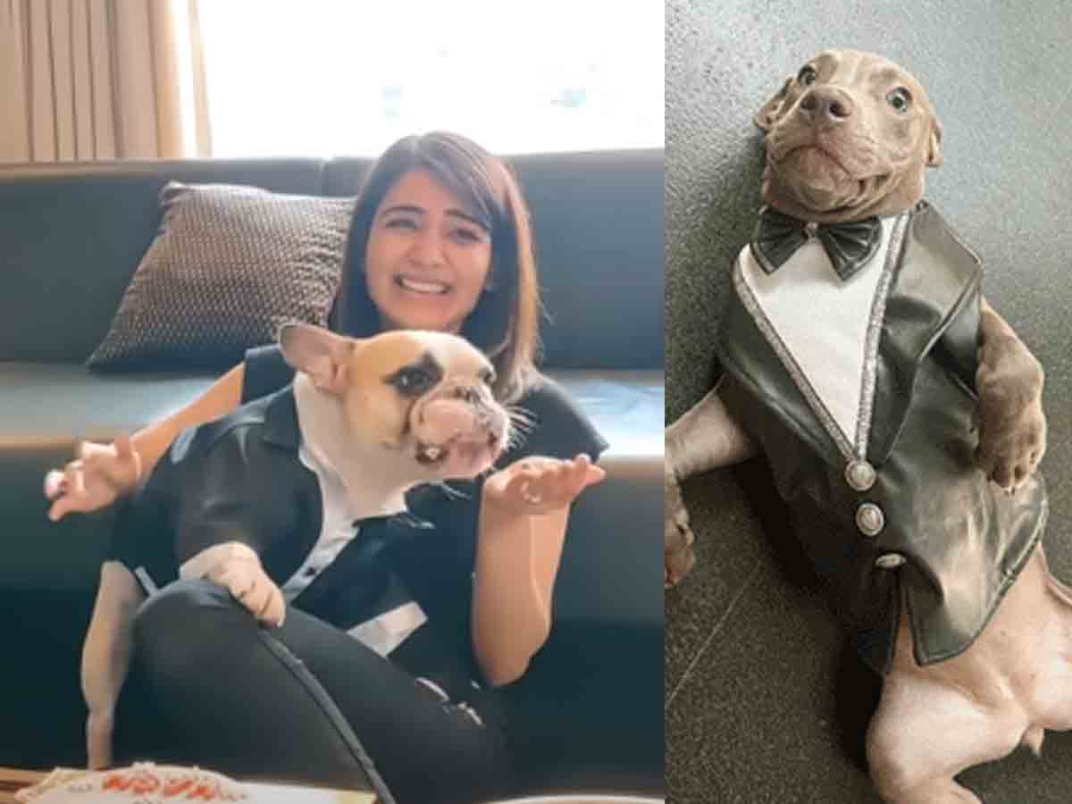 Samantha: చైతూకి విషెస్ చెప్ప‌లేదు కాని, పెంపుడు కుక్క బ‌ర్త్‌డే గ్రాండ్‌గా సెల‌బ్రేట్ చేసిన సామ్