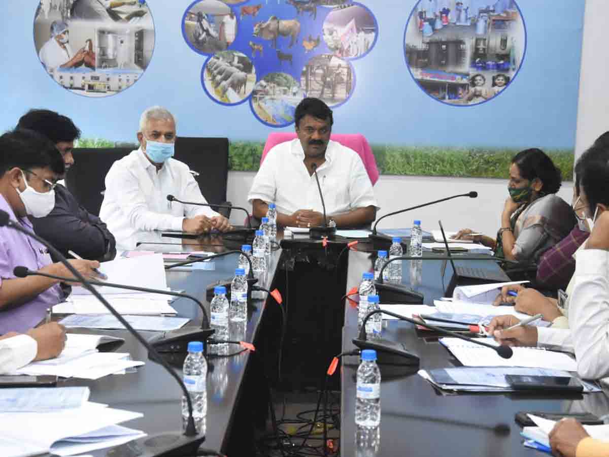 ‘విజయ’ ఉత్పత్తులను విస్తృతంగా మార్కెట్‌ చేయాలి : మంత్రి తలసాని