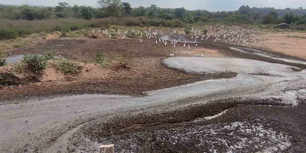 జమున హేచరీస్‌ వ్యర్థాల పారబోతపై అధికారుల పరిశీలన
