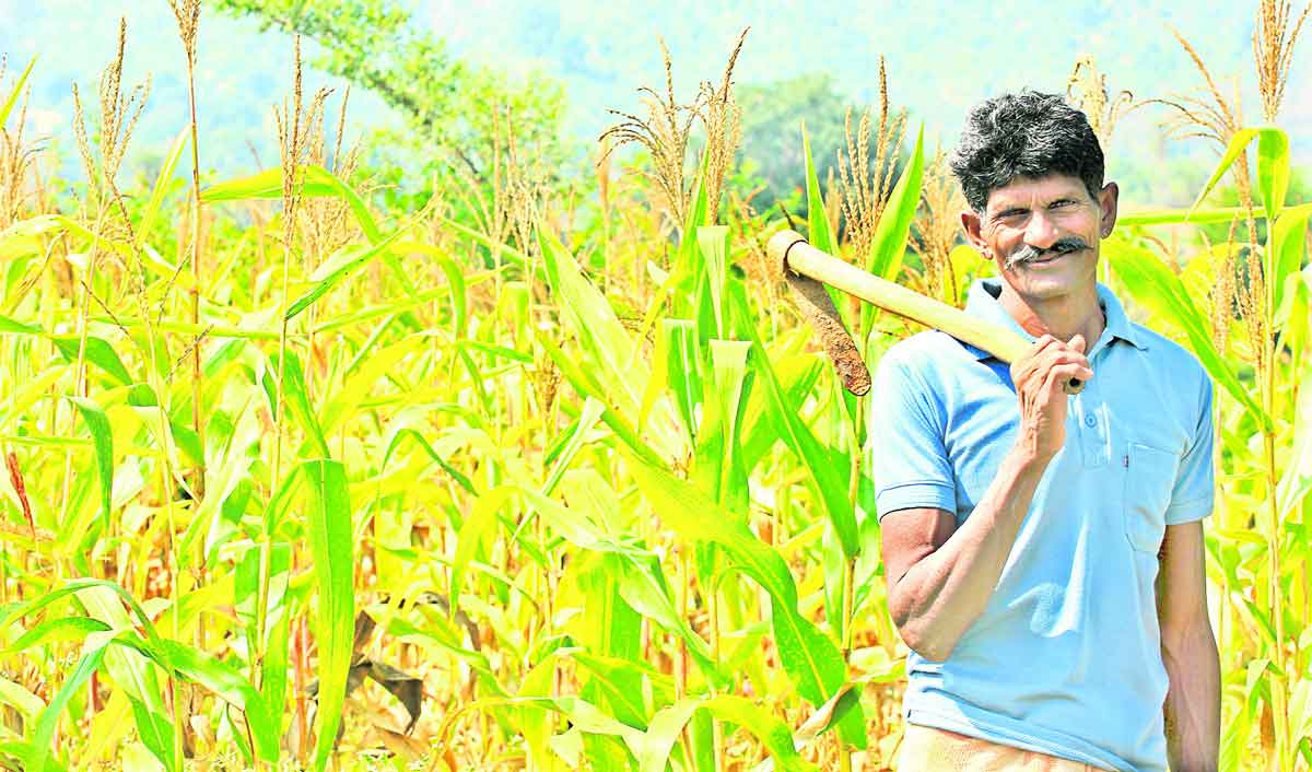 రైతు బీమా.. కొండంత ధీమా