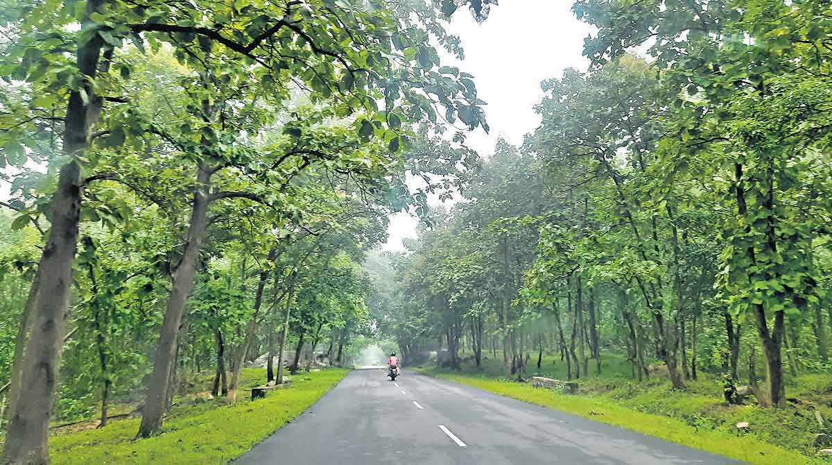 Winter Tour : చ‌లికాలంలో టూర్ ఎంజాయ్ చేయాలంటే.. తెలంగాణ‌లోనే ఉన్న ఈ ప్లేస్‌కు వెళ్లాల్సిందే