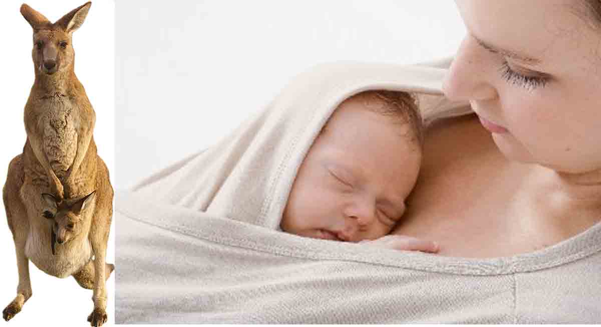 కంగారూ కేర్‌ | శిశువును తల్లి ఎక్కువ సేపు ఎత్తుకుంటే ఎన్నో లాభాలున్నాయి.. ఏంటో తెలుసా?