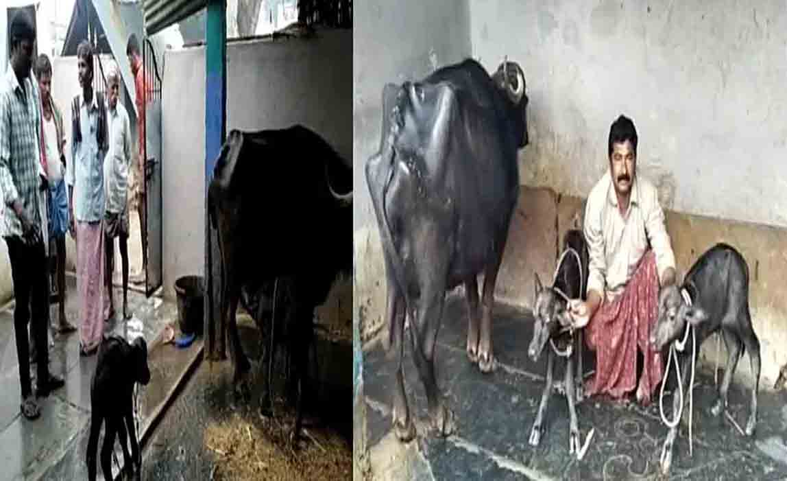 Kurnool district | కర్నూల్ జిల్లాలో వింత.. అదే కారణం అంటున్న జనాలు..