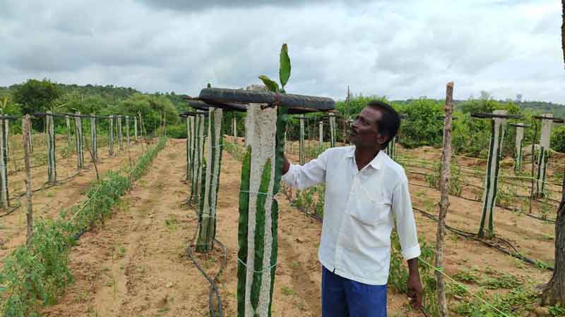 ప్రత్యామ్నాయం.. రాబడి పదిలం
