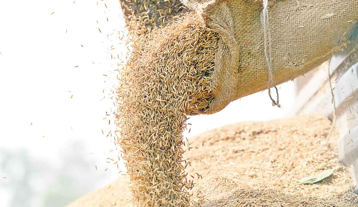 రైతు కోసం పోరుబాట