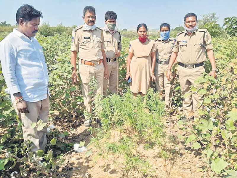‘మత్తు’ దించుతున్నరు..