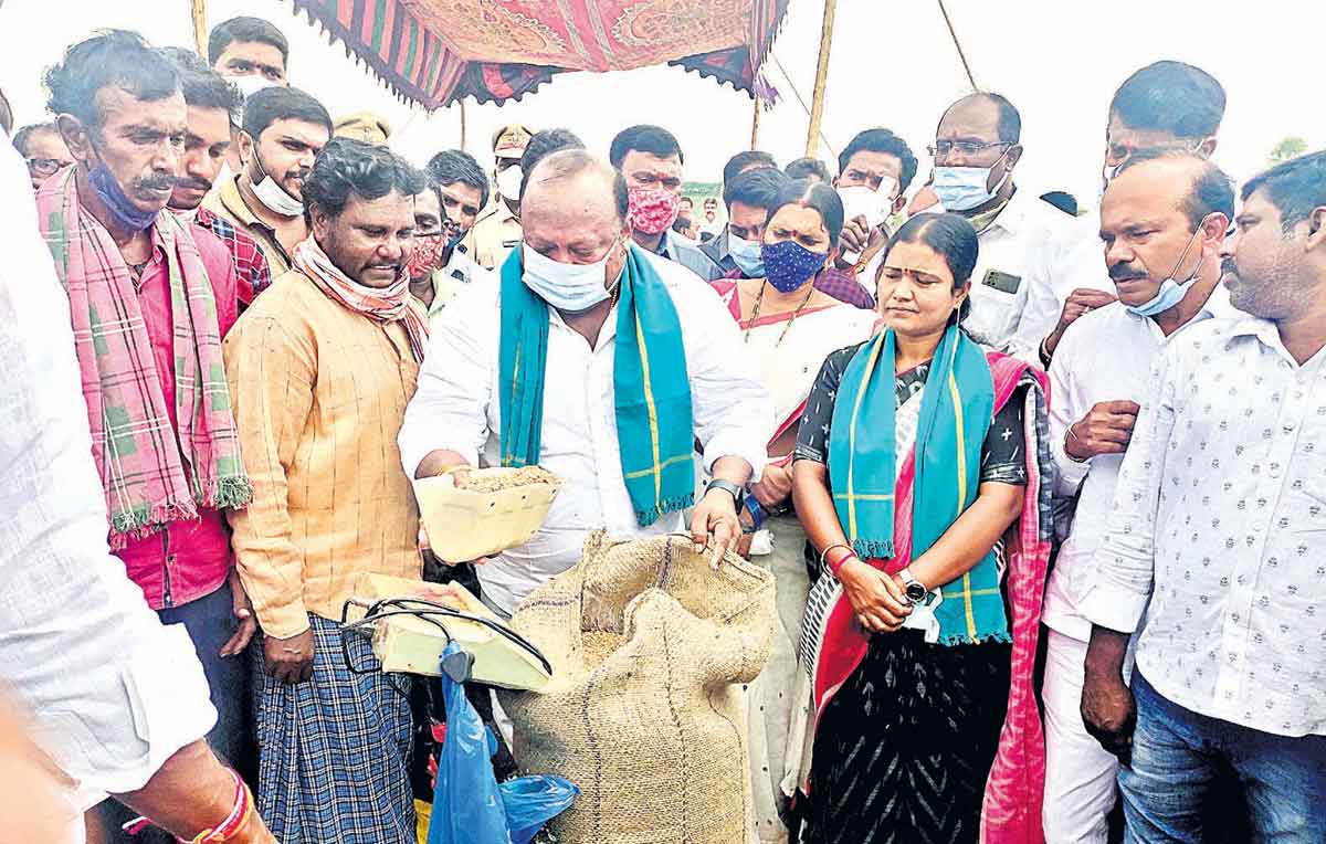 ప్రతి గింజనూ కొంటాం