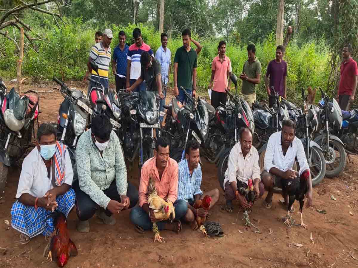 Crime | జోరుగా కోడిపందాలు.. 8మంది పందెం రాయుళ్లు అరెస్టు.. 46ద్విచక్రవాహనాలు స్వాధీనం..