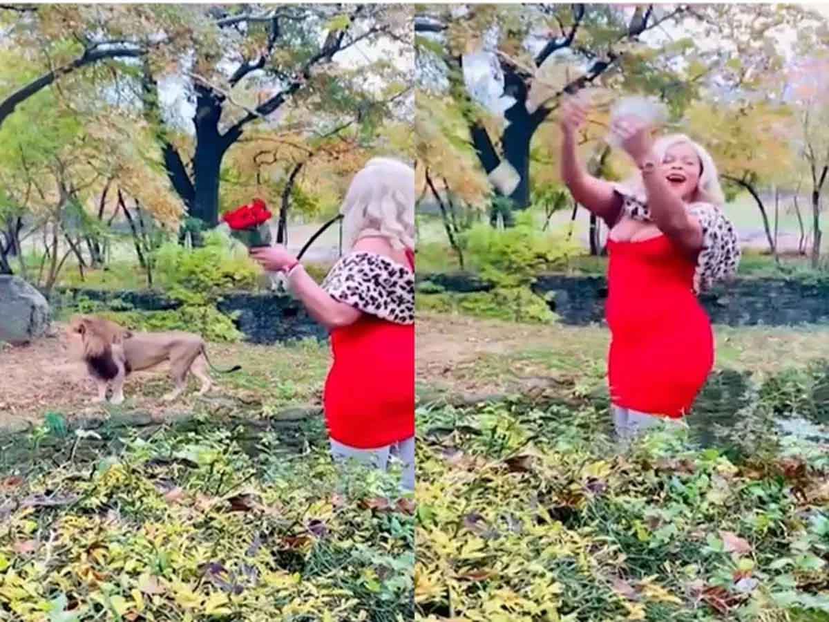 జూకు వెళ్లి సింహం ఎన్‌క్లోజ‌ర్‌లోకి దూకి.. ఈ యువ‌తి ఏం చేసిందంటే? వైర‌ల్ వీడియో