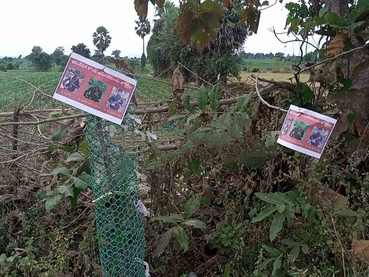 ములుగు జిల్లాలో మావోయిస్టు వాల్ పోస్టర్ల కలకలం