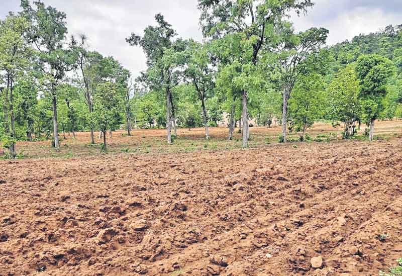 సర్వేకు సన్నద్ధం