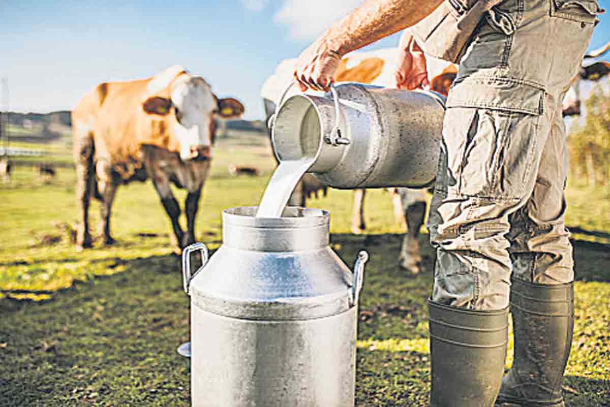 మినీ డెయిరీల ఏర్పాటుకు ప్రణాళిక సిద్ధం