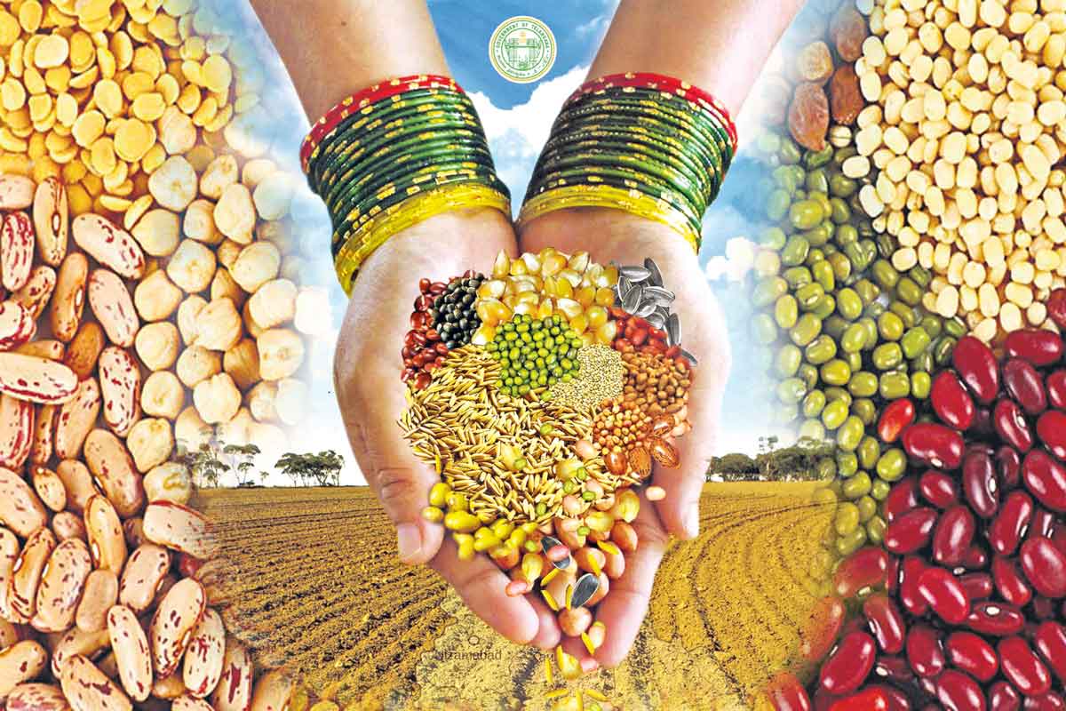 ప్రపంచ విత్తన గని