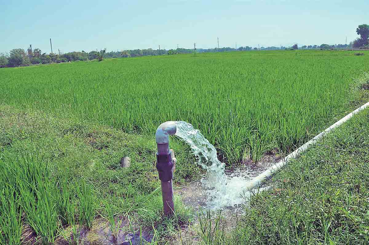 ఢిల్లీ పాలకులకు బుద్ధి చెప్పాలి