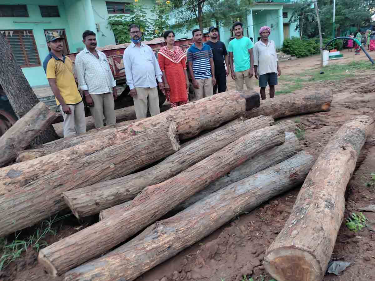 Mulugu | ములుగు జిల్లాలో అక్రమంగా తరలిస్తున్న కలప పట్టివేత