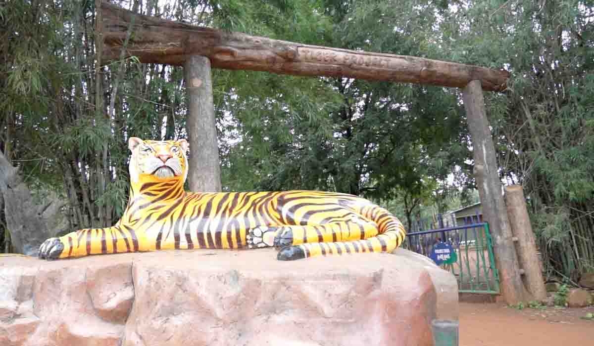 పులి కోటలో ఓ రాత్రి గ‌డ‌పాల‌నుందా..? న‌ల్ల‌మ‌ల మొత్తం తిర‌గాల‌నుందా..?