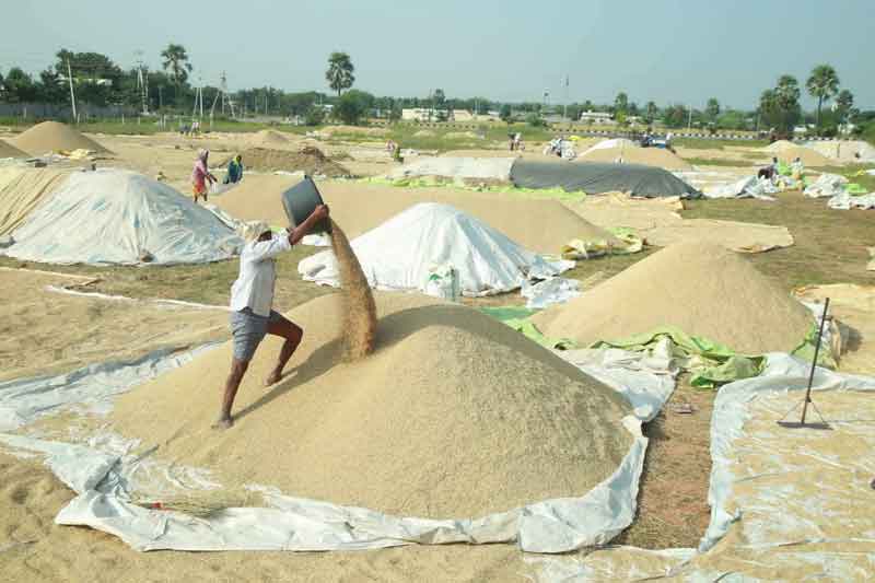 ధాన్యం కొనుగోళ్లు సజావుగా సాగేలా..