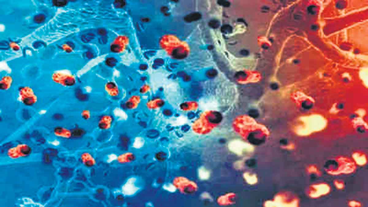 కేరళలో మరో వైరస్‌ కలకలం