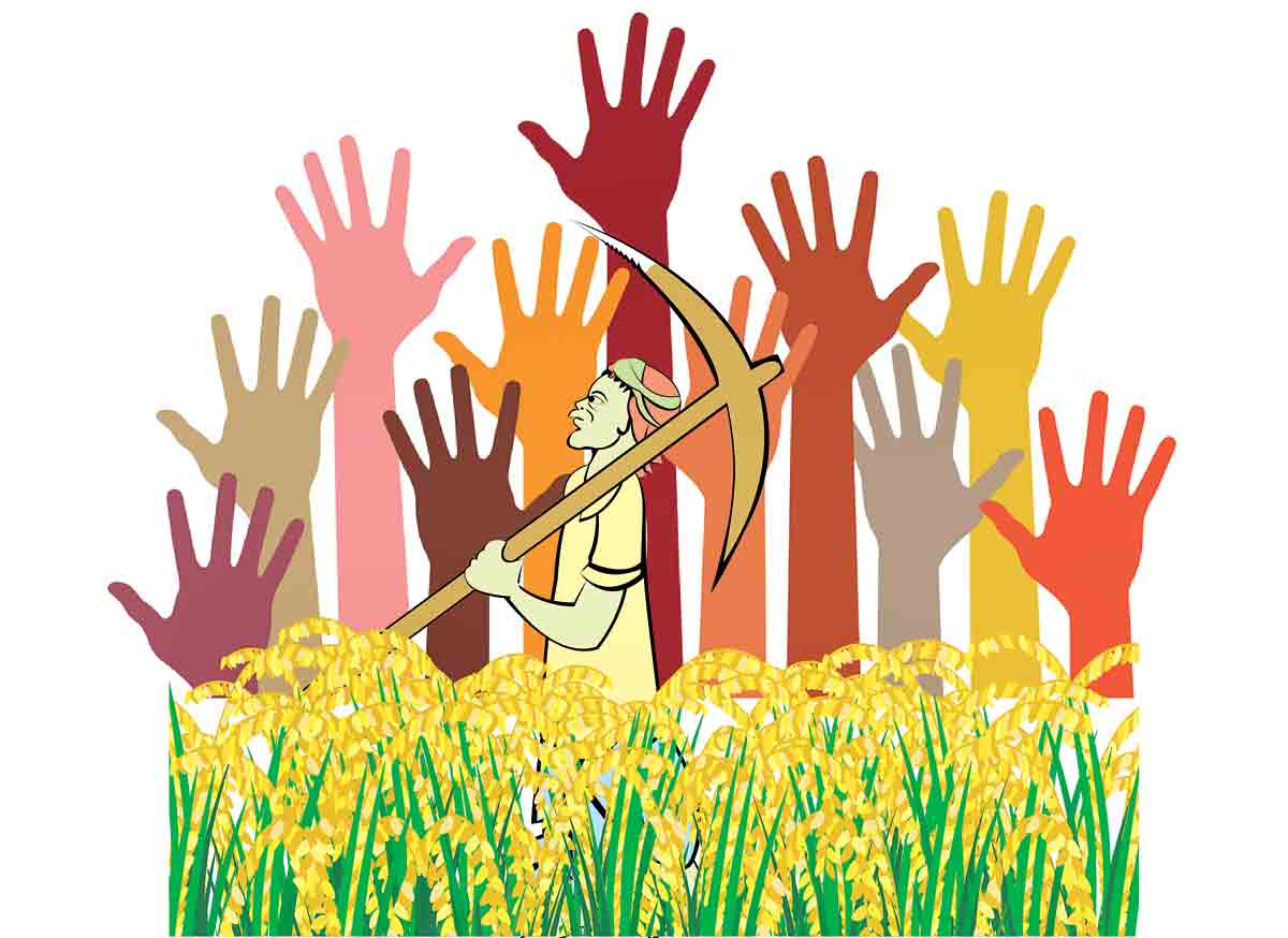 ఎంఎస్పీకి చట్టబద్ధత కల్పించాల్సిందే!