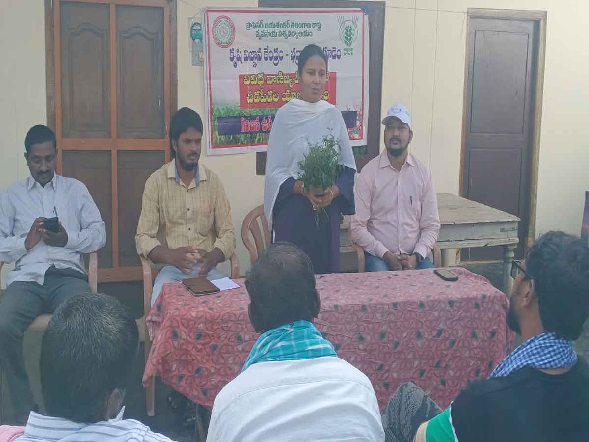 Agriculture | మొక్క తడిసేవిధంగా పై మందులు పిచికారి చేయాలి శాస్త్రవేత్త డా.లక్ష్మీనారాయణమ్మ..