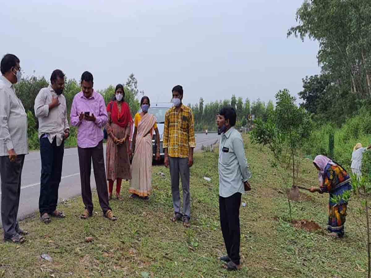 Kothagudem | మొక్కల సంరక్షణ పనులను తనిఖీ చేసిన డీపీవో, డీఆర్‌డీవో..