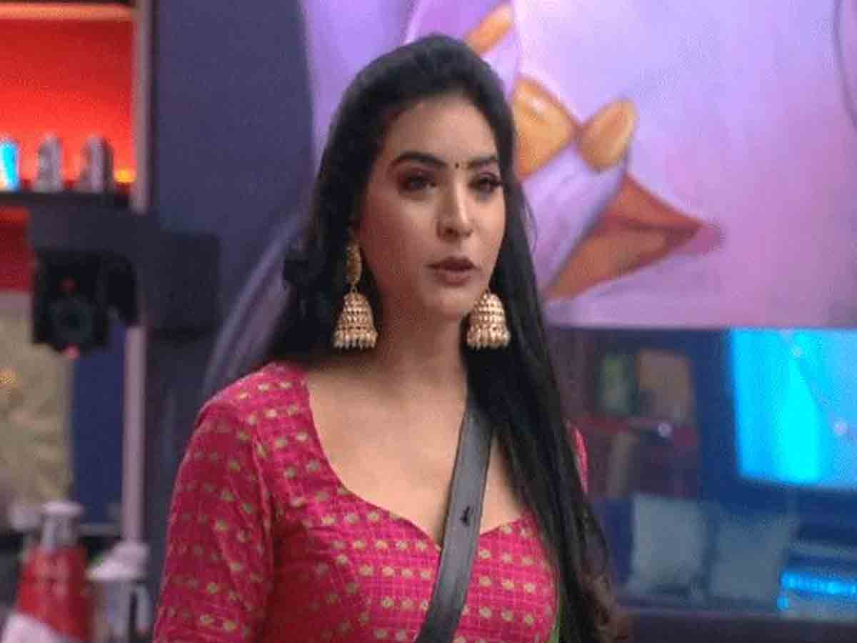 Bigg Boss: ఫ్రెండ్స్, ఫ్యామిలీ కోసం హౌజ్‌మేట్స్ ఏమేం త్యాగాలు చేశారో తెలుసా?