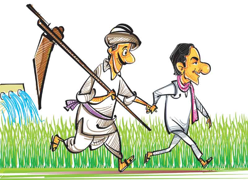 పెట్టుబడి ఇచ్చి గిట్టుబాటుపెంచి..