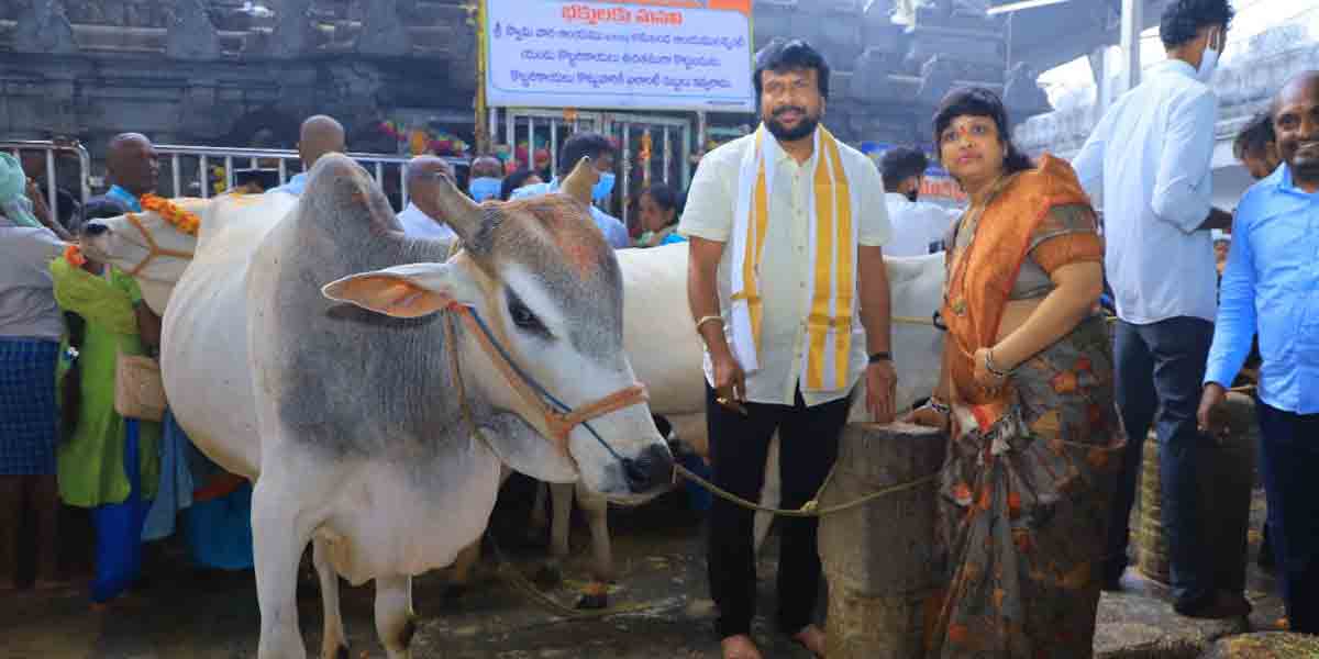 కోడె మొక్కు చెల్లించుకున్న ఉప్పల దంపతులు