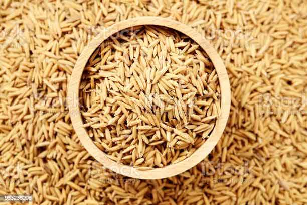 జంగ్‌ షురూ..!