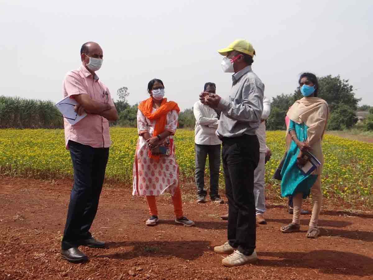 ప్రత్యామ్నాయ పంటలను సాగు చేసుకోవాలి : డాక్టర్ ఉమా రెడ్డి