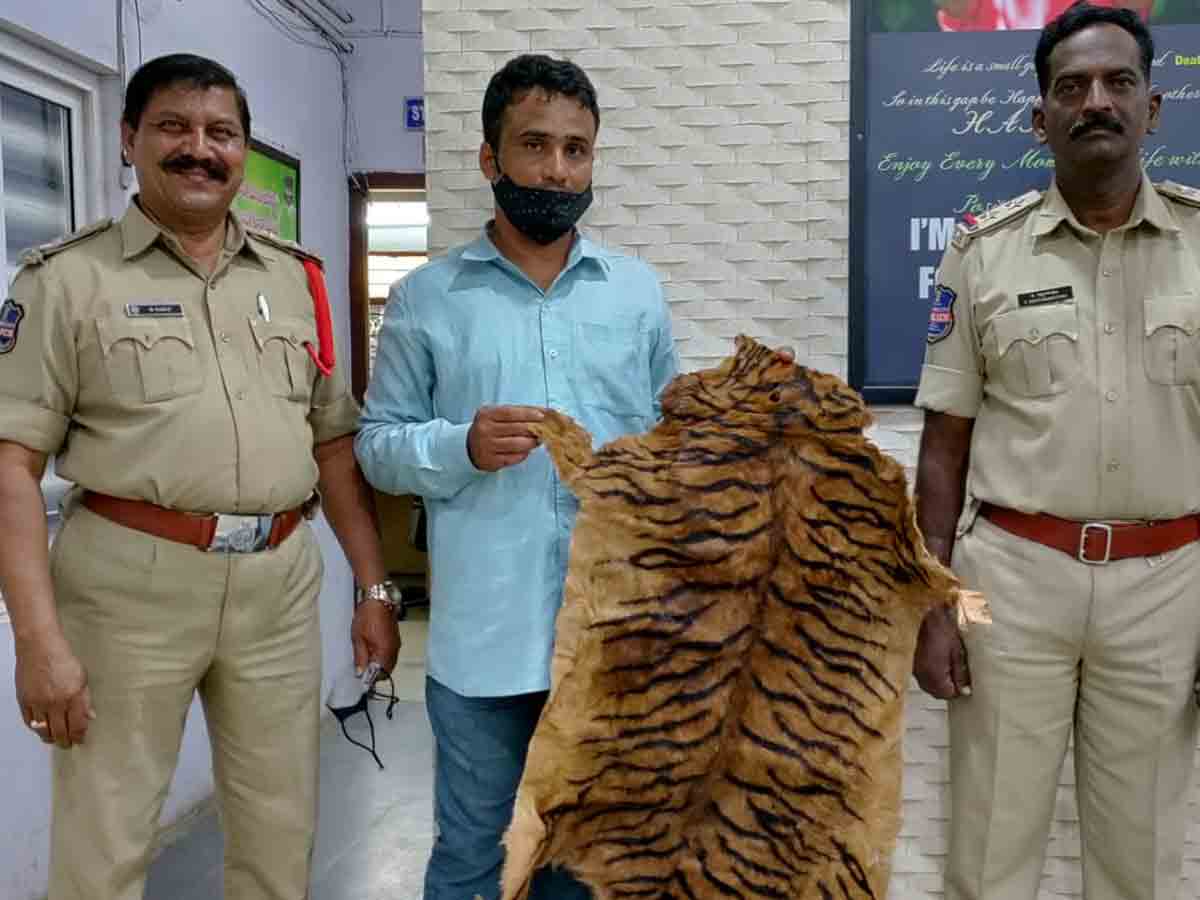 Crime news : నకిలీ పులి చర్మం అమ్మేందుకు ప్రయత్నించిన వ్యక్తి అరెస్టు