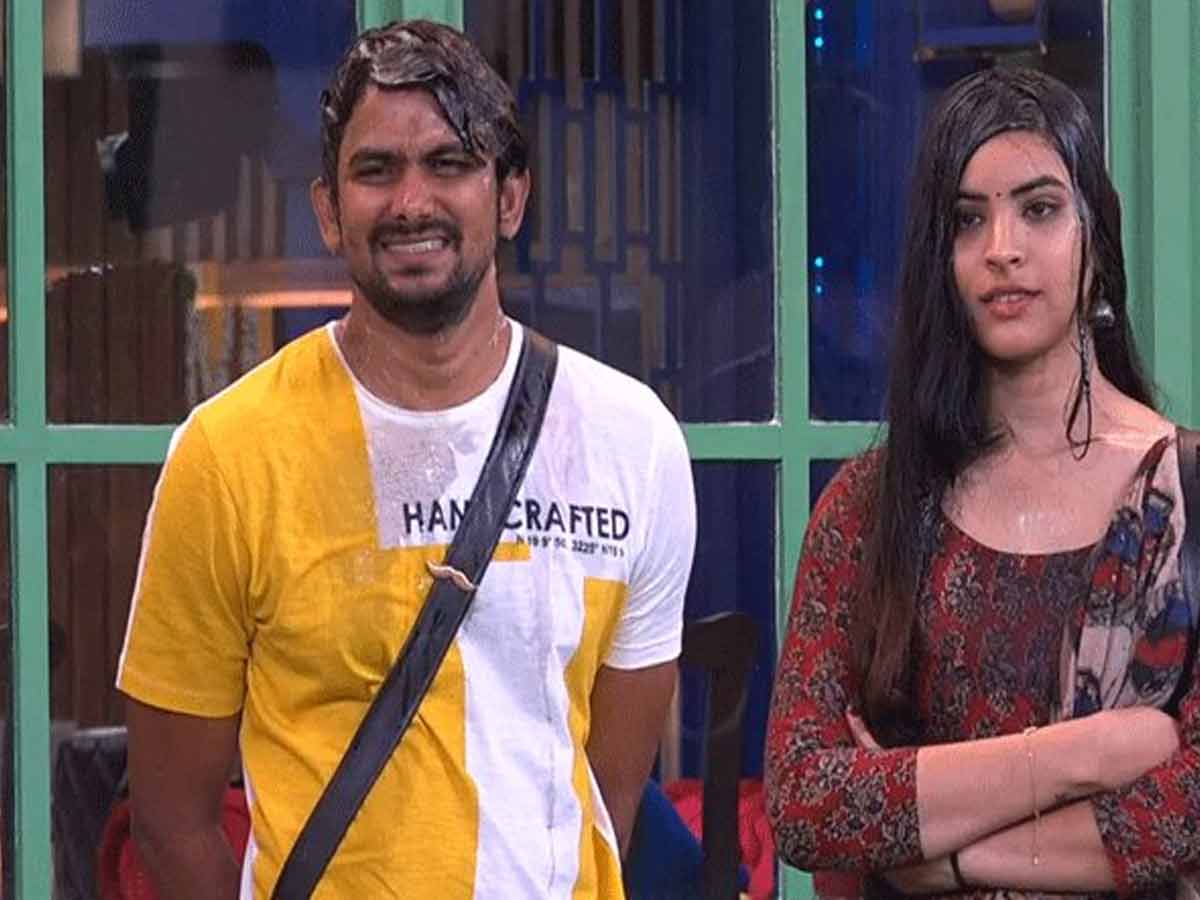 Bigg Boss: సిరి క‌ట్ల పాము, ష‌ణ్ముఖ్ న‌ల్ల కుక్క‌.. విచిత్రమైన పేర్లు పెట్టిన స‌న్నీ