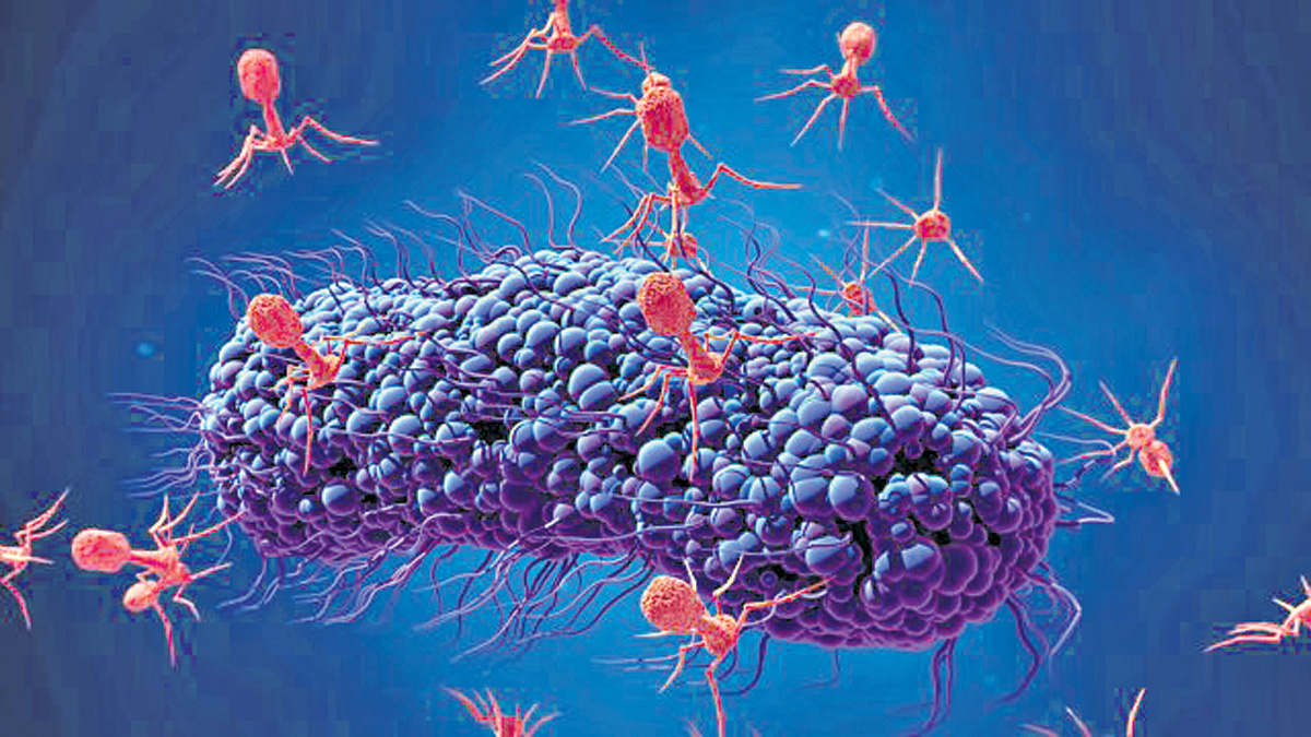 ‘సూపర్‌ బగ్స్‌’కు విరుగుడు