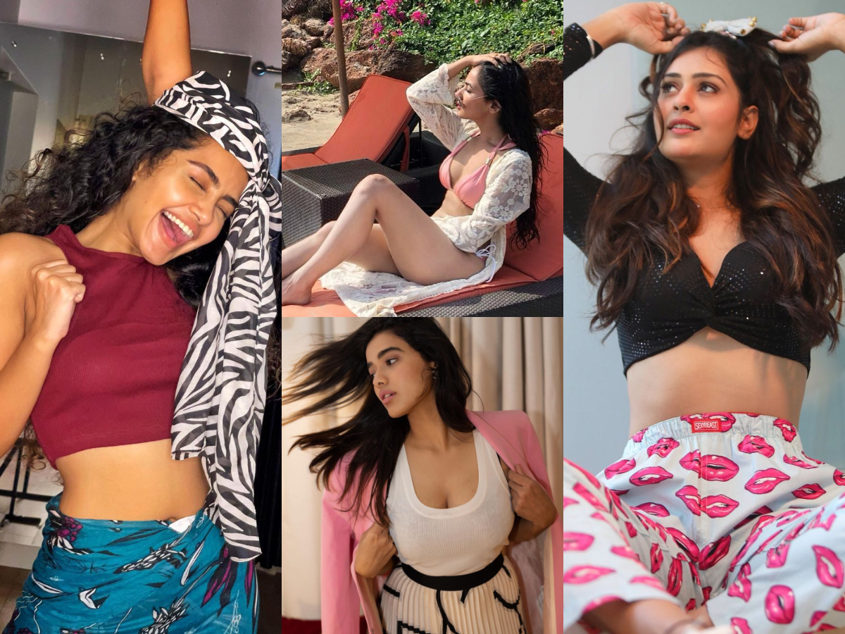 Instagram Updates: పట్టరాని ఆనందంలో అనుపమ.. పాయ‌ల్ హోయ‌లు