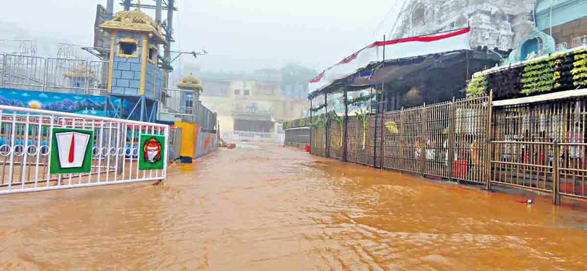 Rains in Tirumala | భారీ వర్షాలతో టీటీడీకి రూ.4 కోట్లపైగా నష్టం: చైర్మన్ వైవీ సుబ్బారెడ్డి