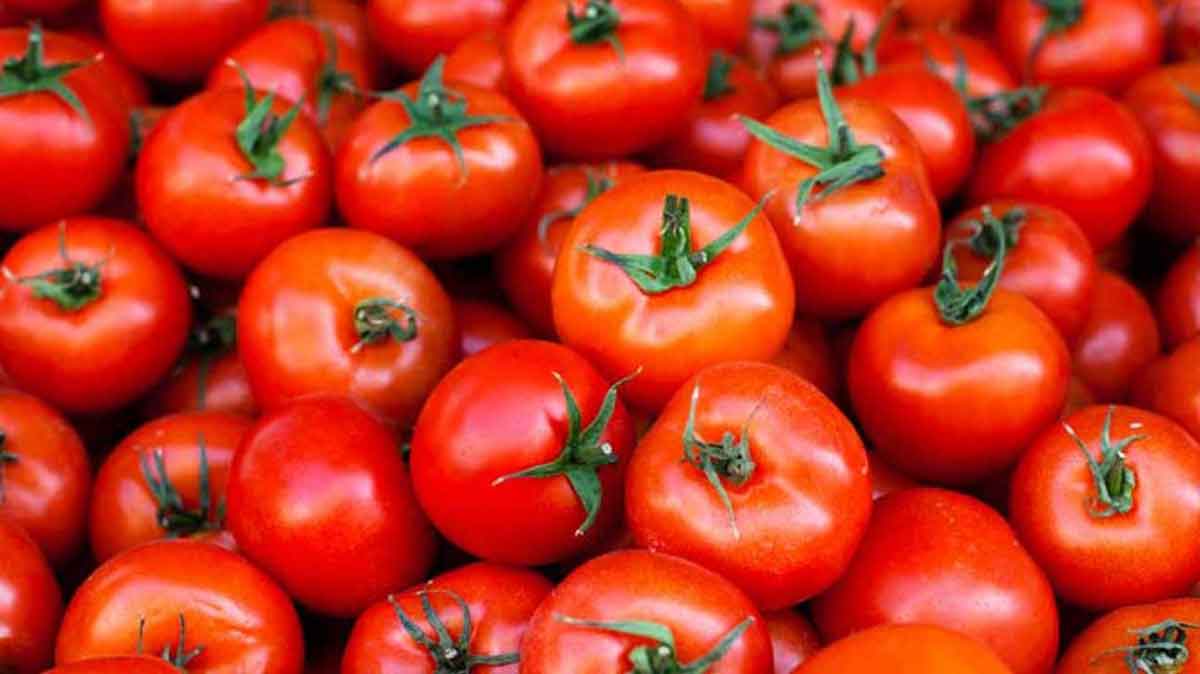 Tomato Prices : భ‌గ్గుమంటున్న‌ ట‌మాటా ధ‌ర‌లు.. సోష‌ల్ మీడియాలో ఫ‌న్నీ మీమ్స్‌.. చూస్తే న‌వ్వు ఆపుకోలేరు