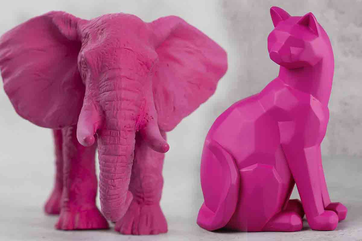 India circus | నట్టింట్లో రంగుల సర్కస్‌!