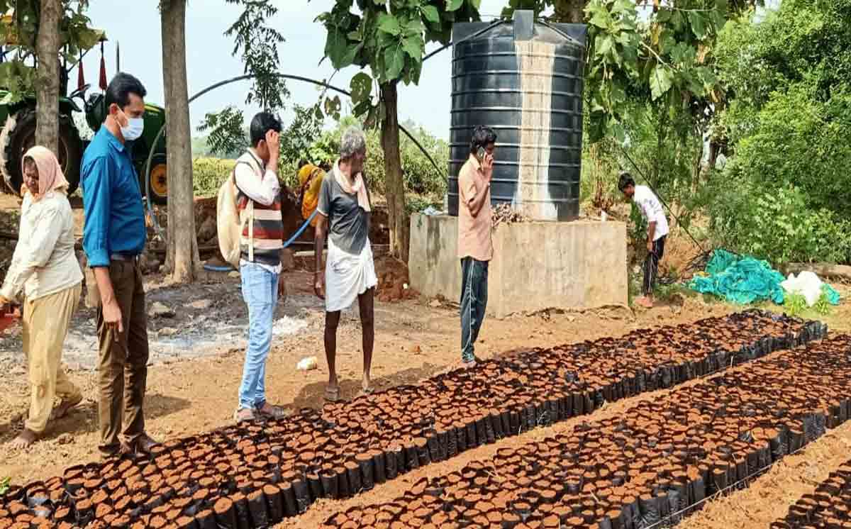 Bhupalpally | నర్సరీ పనులను వేగవంతం చేయాలి: ఏపీవో అలీంపాషా..