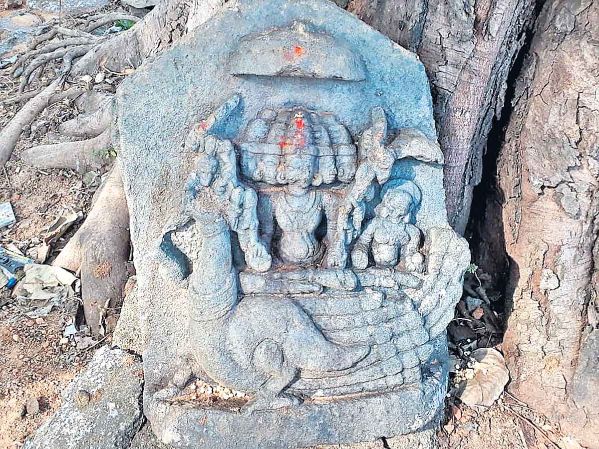 కుర్నాపల్లిలో అరుదైన