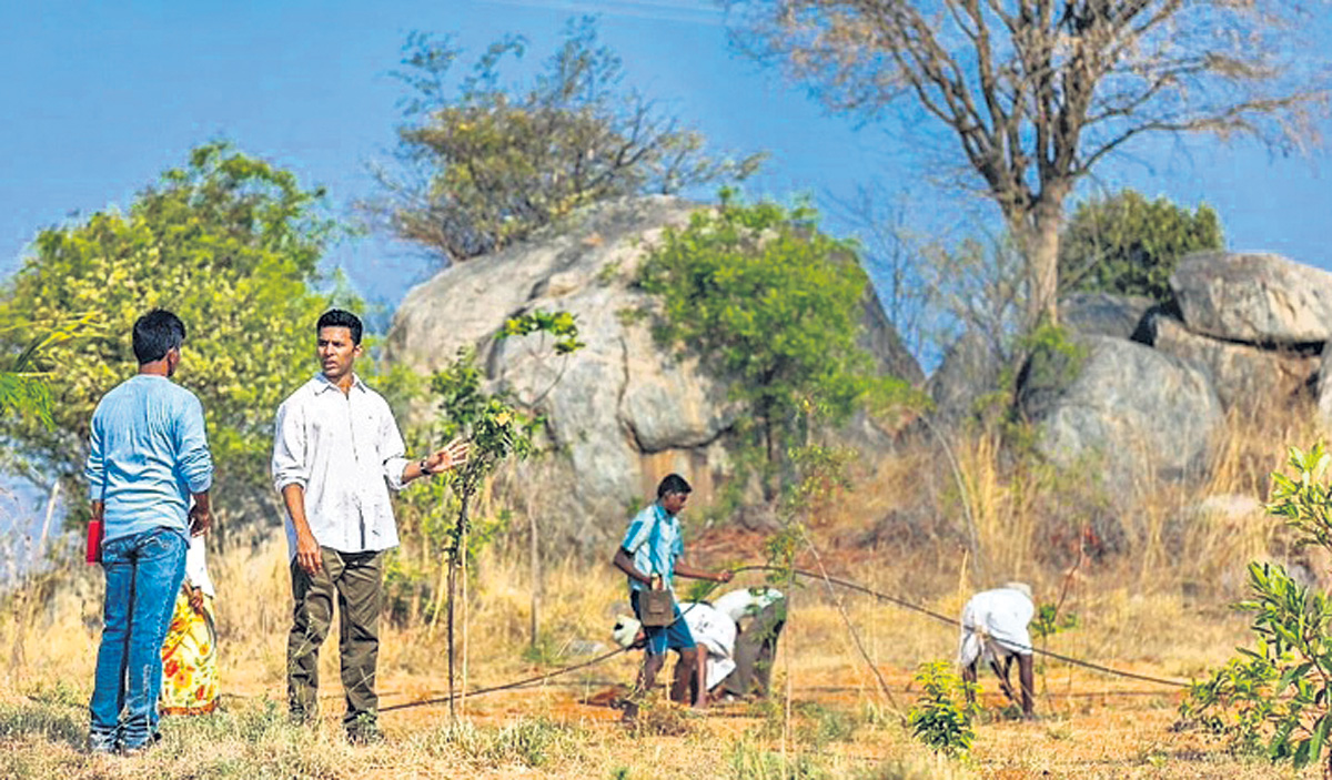 వనాంతర వాసి!