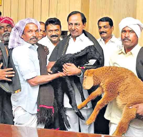 గొంగడి గుర్తున్నదా..