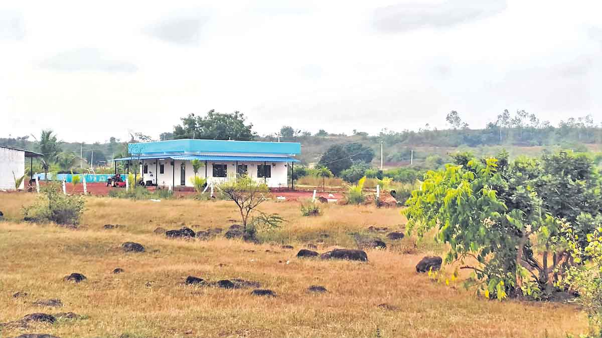 పొలంలో పొదరిల్లు