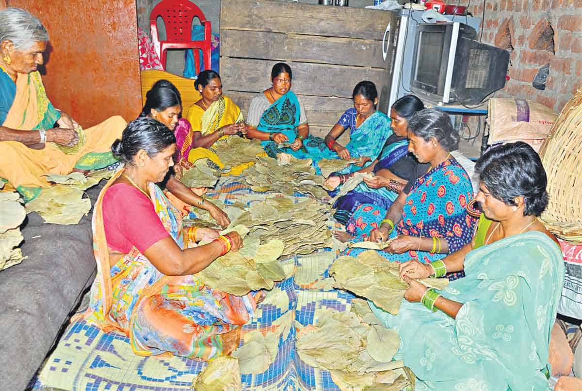 సరిలేని.. విస్తరి