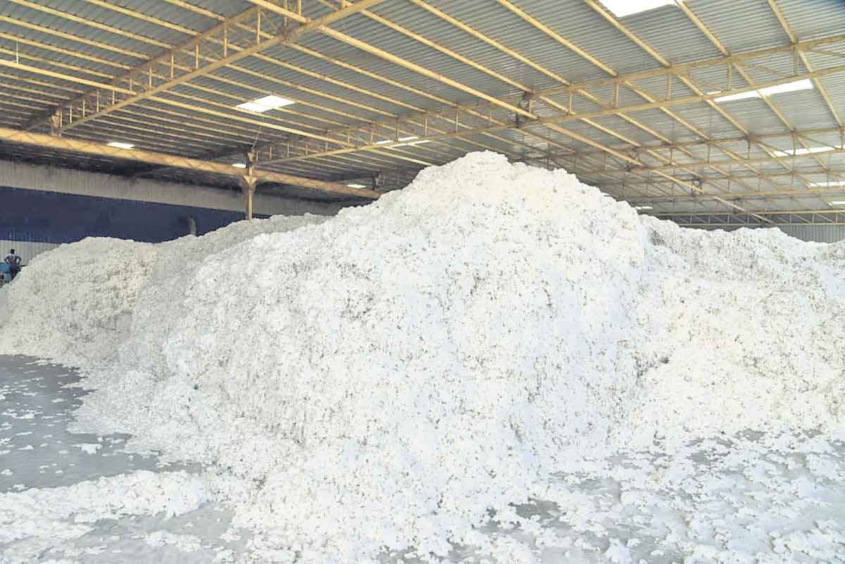 తెల్లబంగారమే